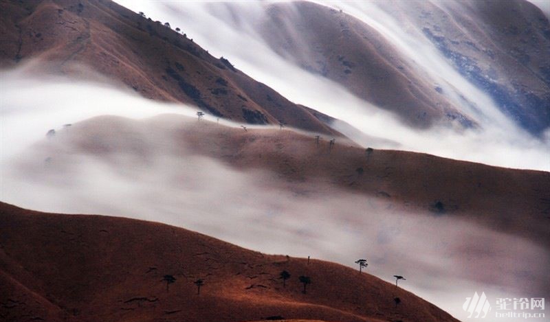 (3)元旦江西武功山人間仙境，冬季天上白色草原美景，看霧淞賞雪，觀云海奇觀-戶外活動圖-駝鈴網