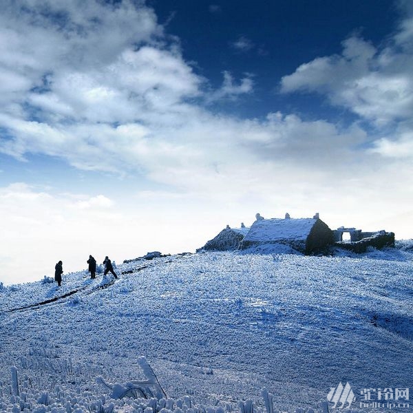 (7)元旦江西武功山人間仙境，冬季天上白色草原美景，看霧淞賞雪，觀云海奇觀-戶外活動圖-駝鈴網