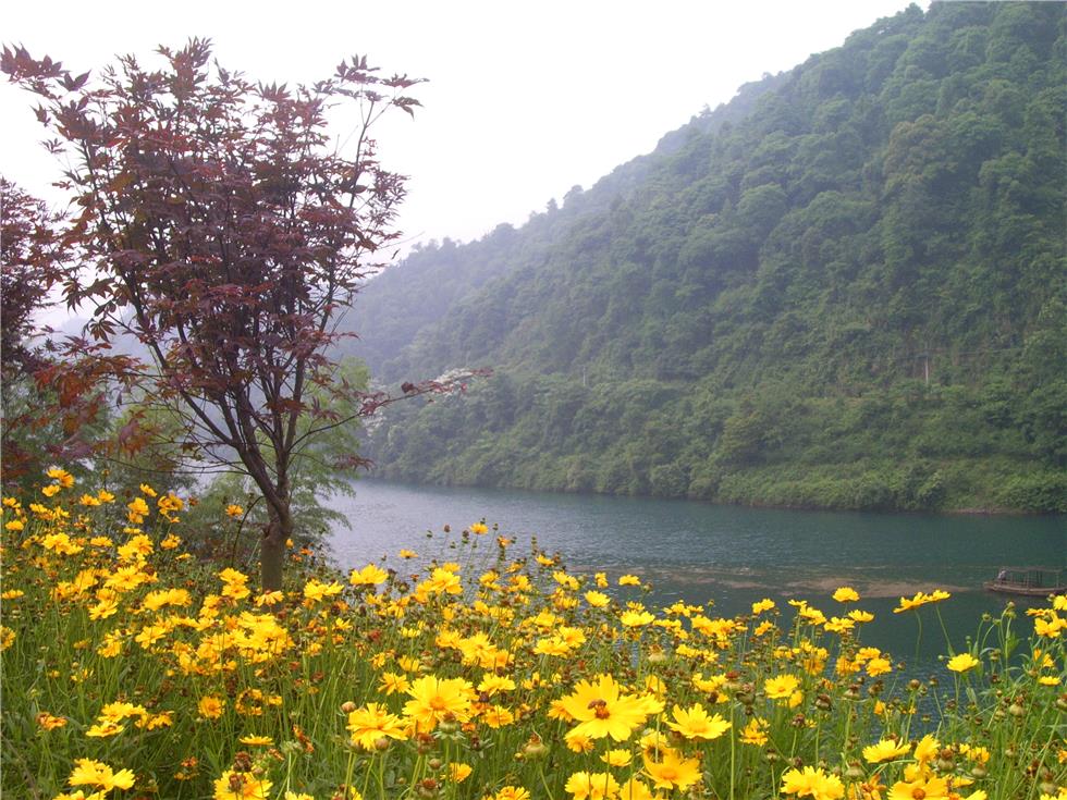 (8)湖南【小東江】【小東江深山原始森林古道】徒步、攝影二天游-戶外活動圖-駝鈴網(wǎng)